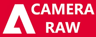 Adobe Camera Raw 로고