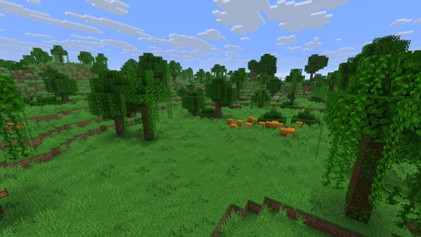 듬성듬성한 정글 (Minecraft Wiki 게임 렌더)