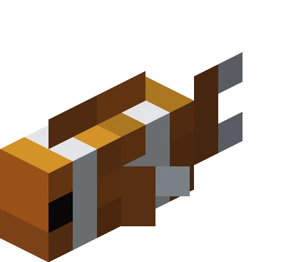 열대어 (Minecraft Wiki 게임 렌더)