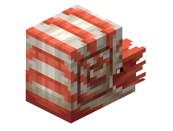 앵무조개 (Minecraft Wiki 게임 렌더)