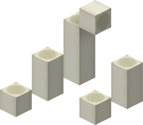 네더 화석 (Minecraft Wiki 게임 렌더)