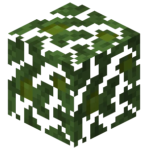 정글나무 잎 (Minecraft Wiki 게임 렌더)