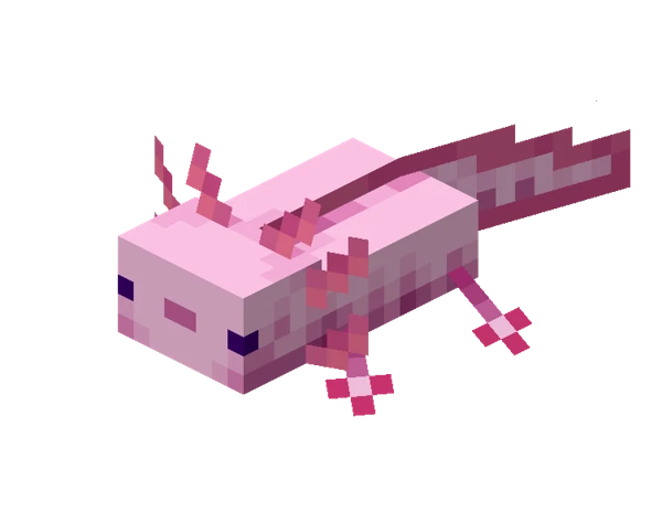 아홀로틀 (Minecraft Wiki 게임 렌더)