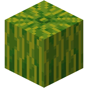 수박 (Minecraft Wiki 게임 렌더)