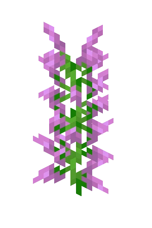 라일락 (Minecraft Wiki 게임 렌더)