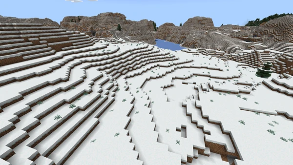 눈 덮인 평원 (Minecraft Wiki 게임 렌더)