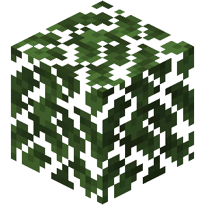 참나무 잎 (Minecraft Wiki 게임 렌더)