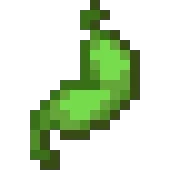 멀미 (Minecraft Wiki 게임 렌더)