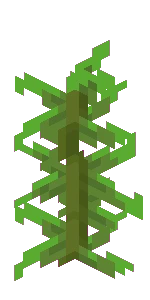 켈프 (Minecraft Wiki 게임 렌더)