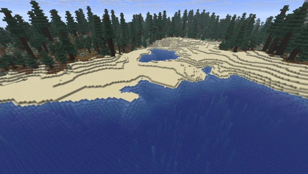 해변 (Minecraft Wiki 게임 렌더)