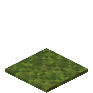 이끼 바닥 (Minecraft Wiki 게임 렌더)