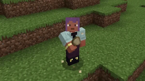 식료품 (Minecraft Wiki 게임 렌더)