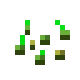 밀 씨앗 (Minecraft Wiki 게임 렌더)