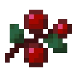 달콤한 열매 (Minecraft Wiki 게임 렌더)