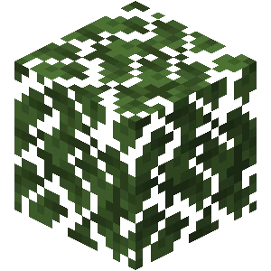 짙은 참나무 잎 (Minecraft Wiki 게임 렌더)
