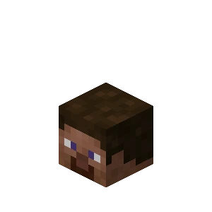 플레이어 머리 (Minecraft Wiki 게임 렌더)