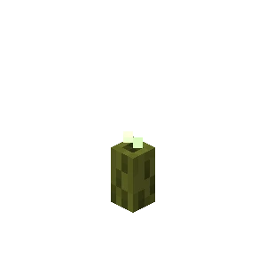 불우렁쉥이 (Minecraft Wiki 게임 렌더)