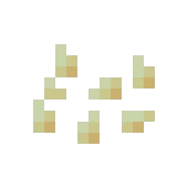 호박씨 (Minecraft Wiki 게임 렌더)