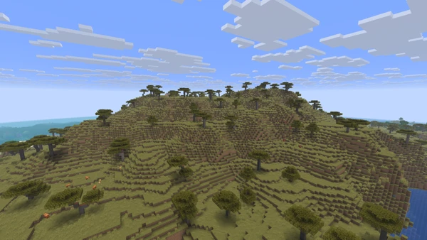 사바나 고원 (Minecraft Wiki 게임 렌더)