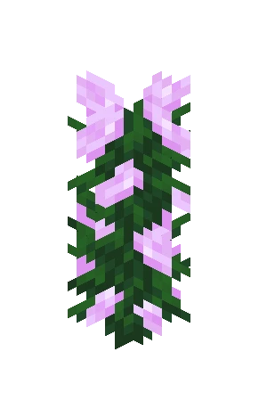 모란 (Minecraft Wiki 게임 렌더)