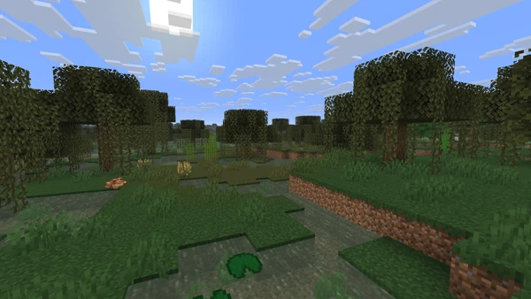 늪 (Minecraft Wiki 게임 렌더)
