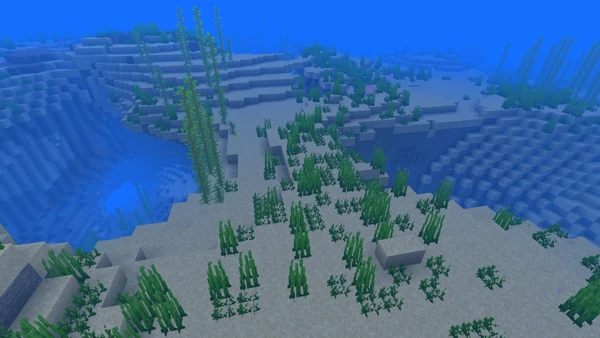 미지근한 바다 (Minecraft Wiki 게임 렌더)