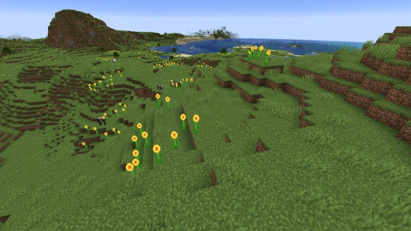 해바라기 평원 (Minecraft Wiki 게임 렌더)
