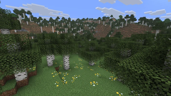 자작나무 숲 (Minecraft Wiki 게임 렌더)