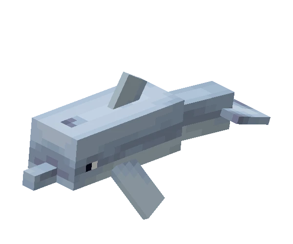 돌고래 (Minecraft Wiki 게임 렌더)