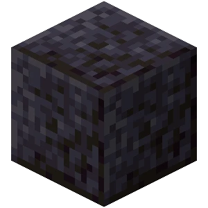 윤나는 흑암 (Minecraft Wiki 게임 렌더)