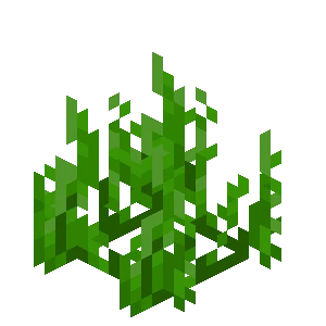 해초 (Minecraft Wiki 게임 렌더)