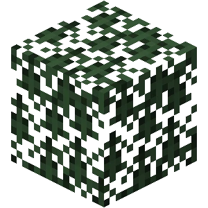 가문비나무 잎 (Minecraft Wiki 게임 렌더)