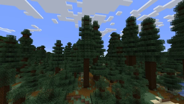가문비나무 원시 타이가 (Minecraft Wiki 게임 렌더)