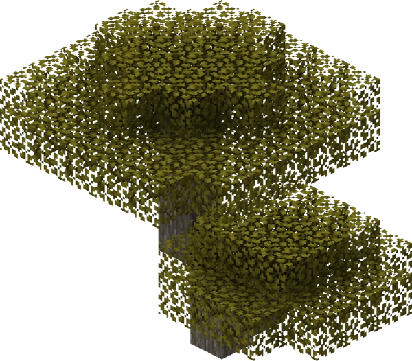 Acacia (Minecraft Wiki 게임 렌더)