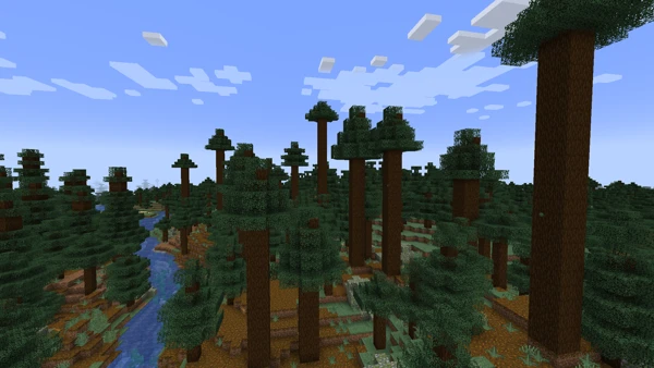 소나무 원시 타이가 (Minecraft Wiki 게임 렌더)