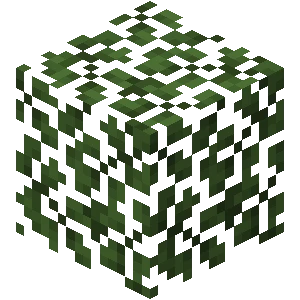 아카시아나무 잎 (Minecraft Wiki 게임 렌더)