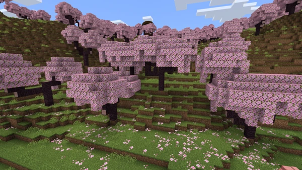 벚나무 숲 (Minecraft Wiki 게임 렌더)