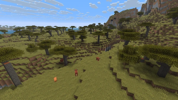 사바나 (Minecraft Wiki 게임 렌더)
