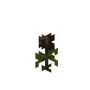 위더 장미 (Minecraft Wiki 게임 렌더)
