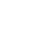 스킬 · 진화
