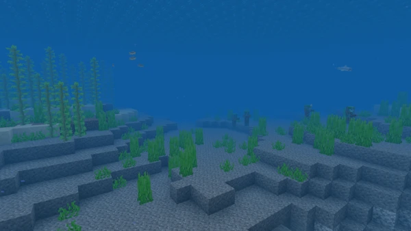 바다 (Minecraft Wiki 게임 렌더)