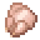 익히지 않은 닭고기 (Minecraft Wiki 게임 렌더)