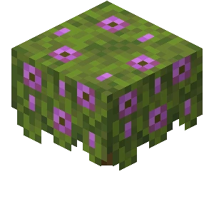 꽃 핀 진달래 (Minecraft Wiki 게임 렌더)
