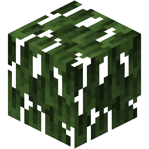 맹그로브나무 잎 (Minecraft Wiki 게임 렌더)