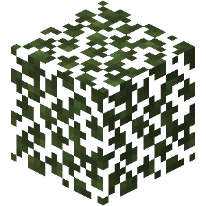 자작나무 잎 (Minecraft Wiki 게임 렌더)