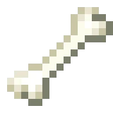 뼈다귀 (Minecraft Wiki 게임 렌더)