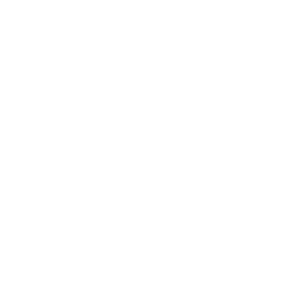 스킬 · C - 기만